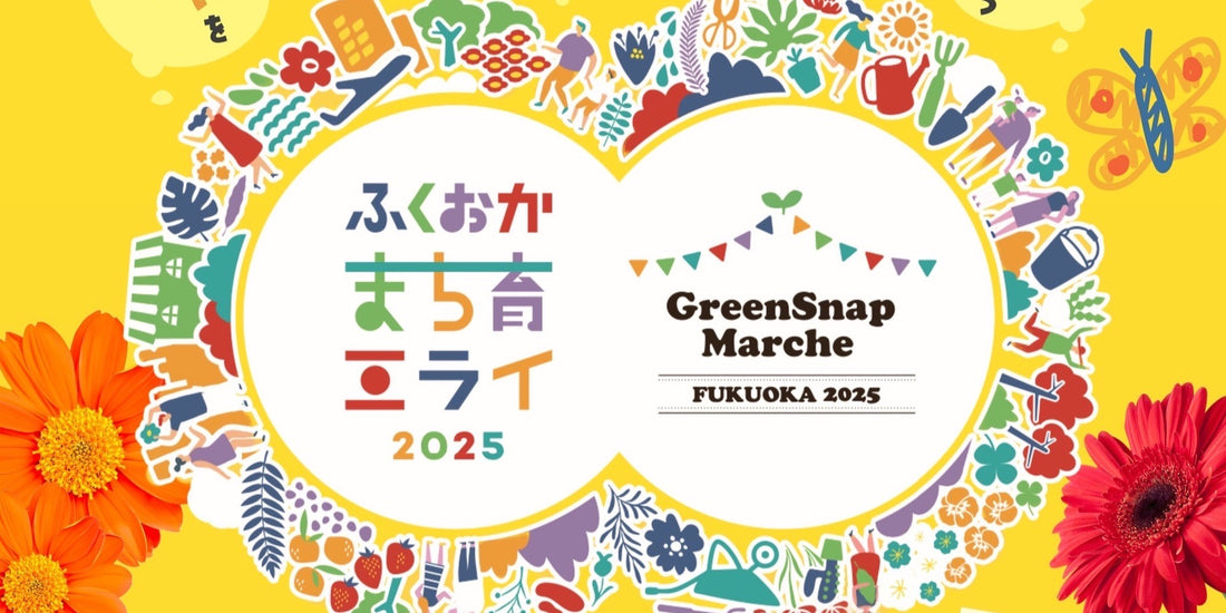 ✨イベント出演者募集✨ ＼福岡の大型イベントに出演しよう！／